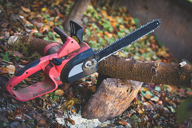 Best Pest Control for Lawns  in Cutler, CA